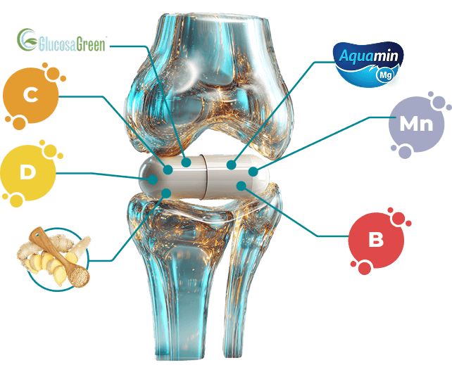 Ilustrace kloubů s vitamíny a minerály