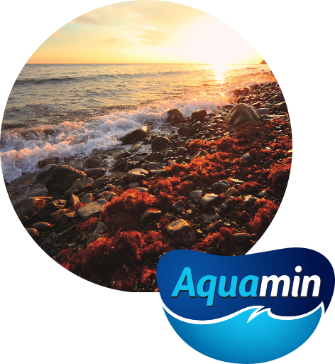 Aquamin