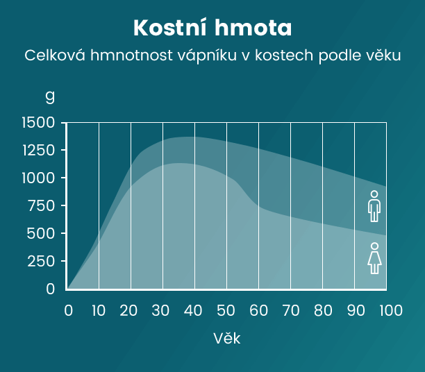 Graf kostní hmoty